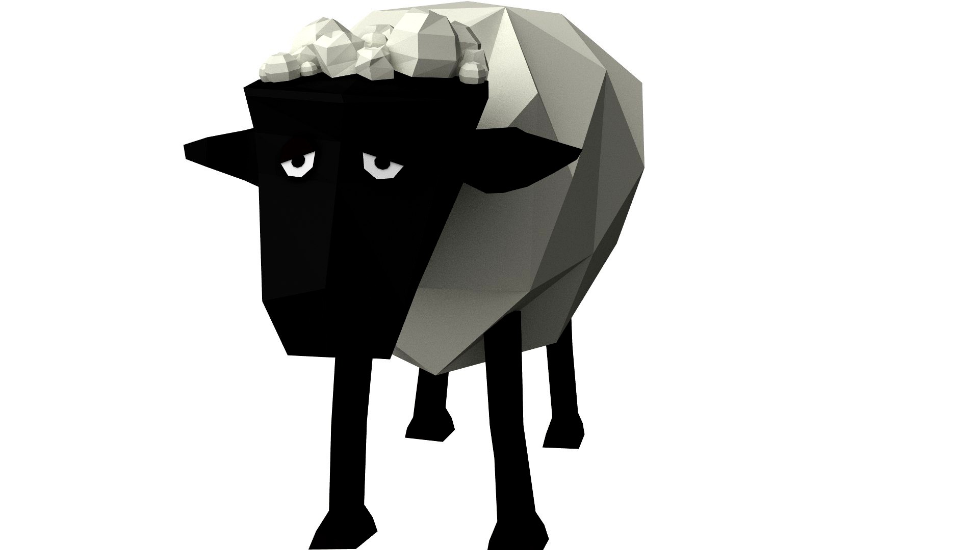 Sad sheep