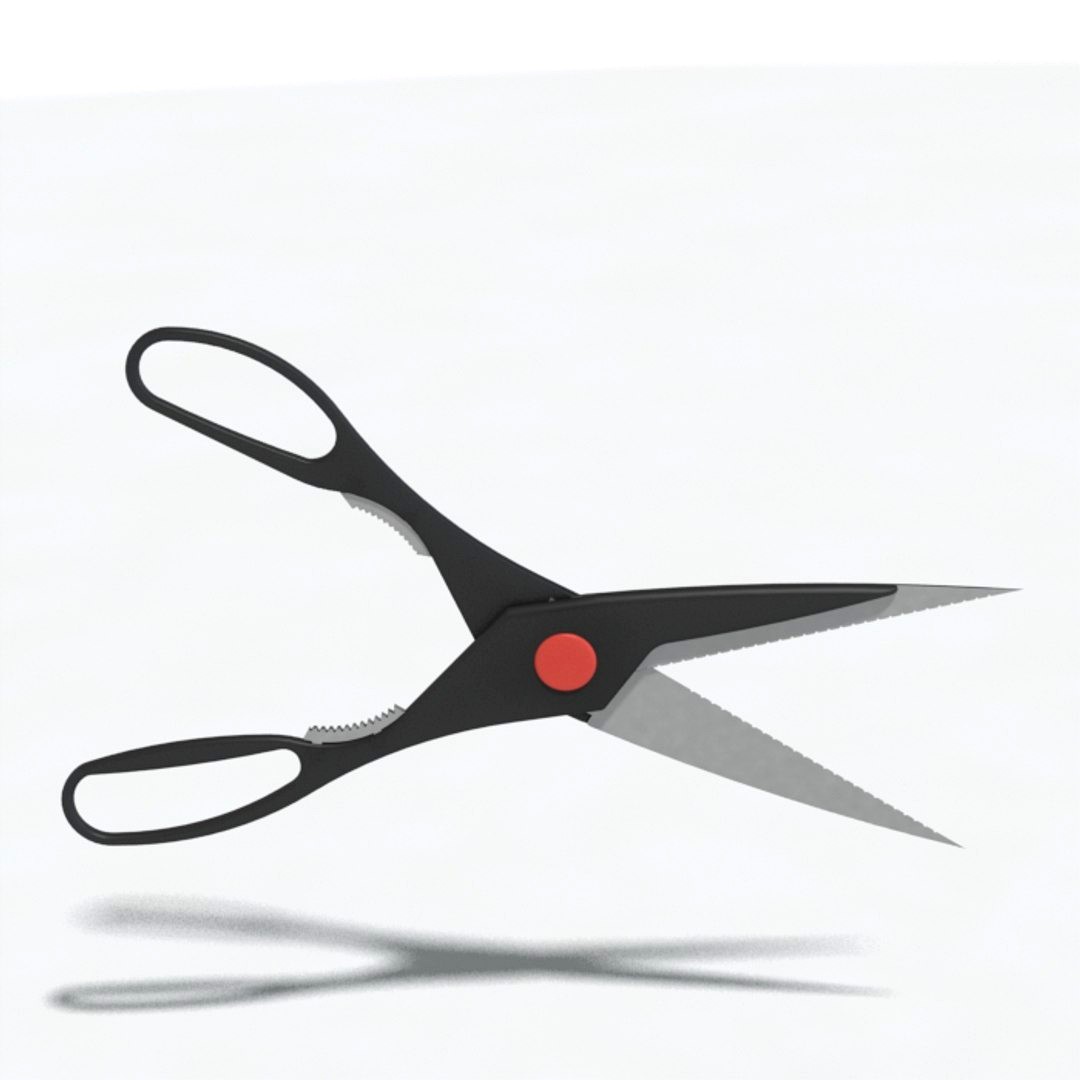 Kitchen shears