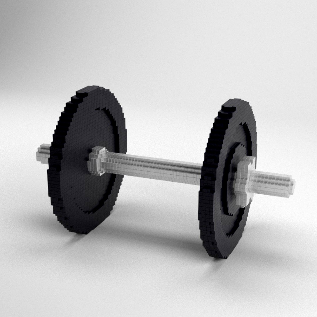Voxel Dumbbells