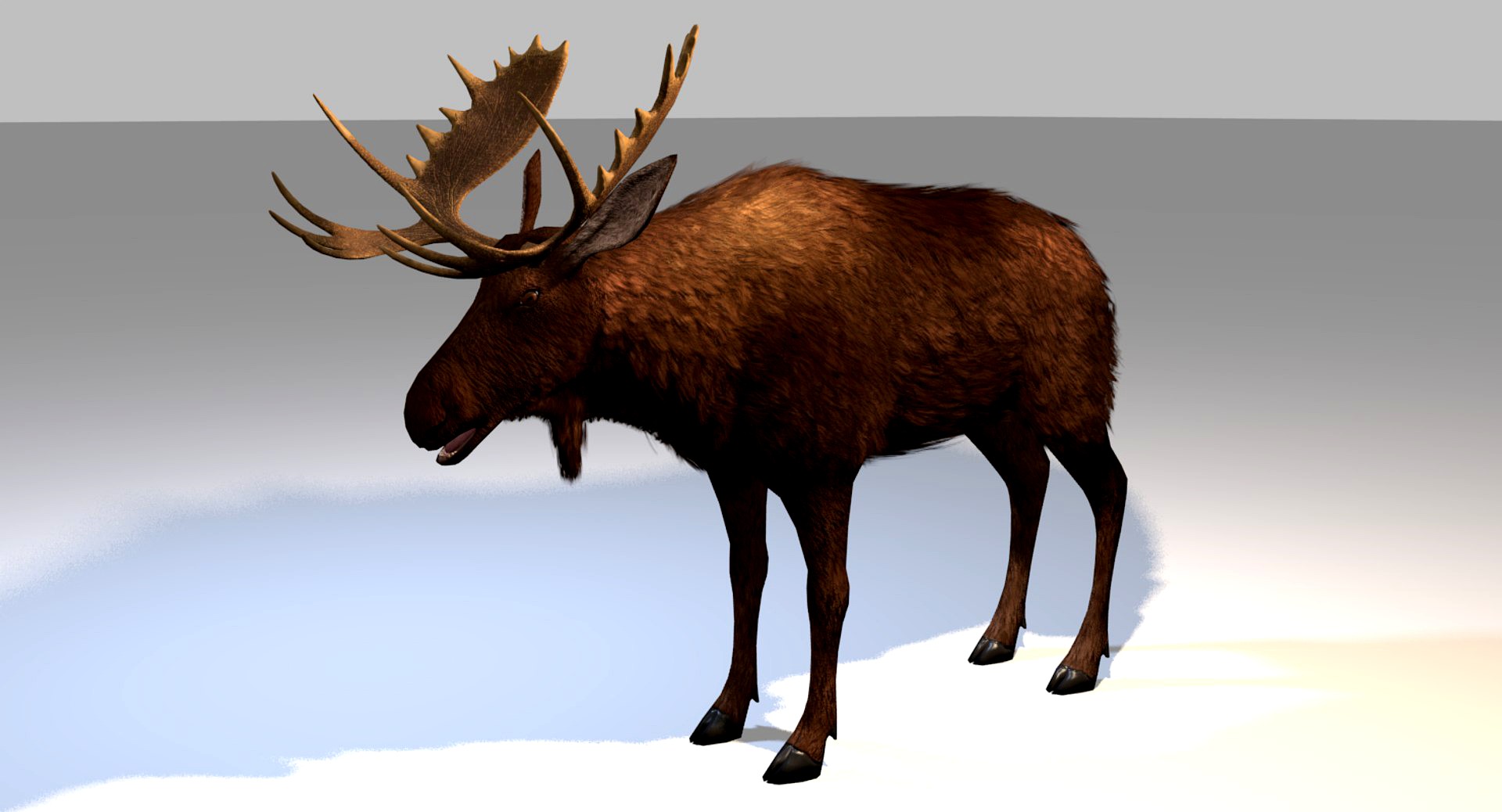 Moose game-ready