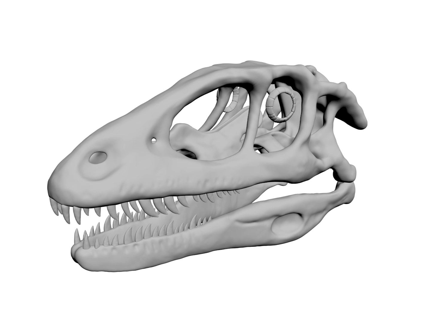 Deinonychus skull