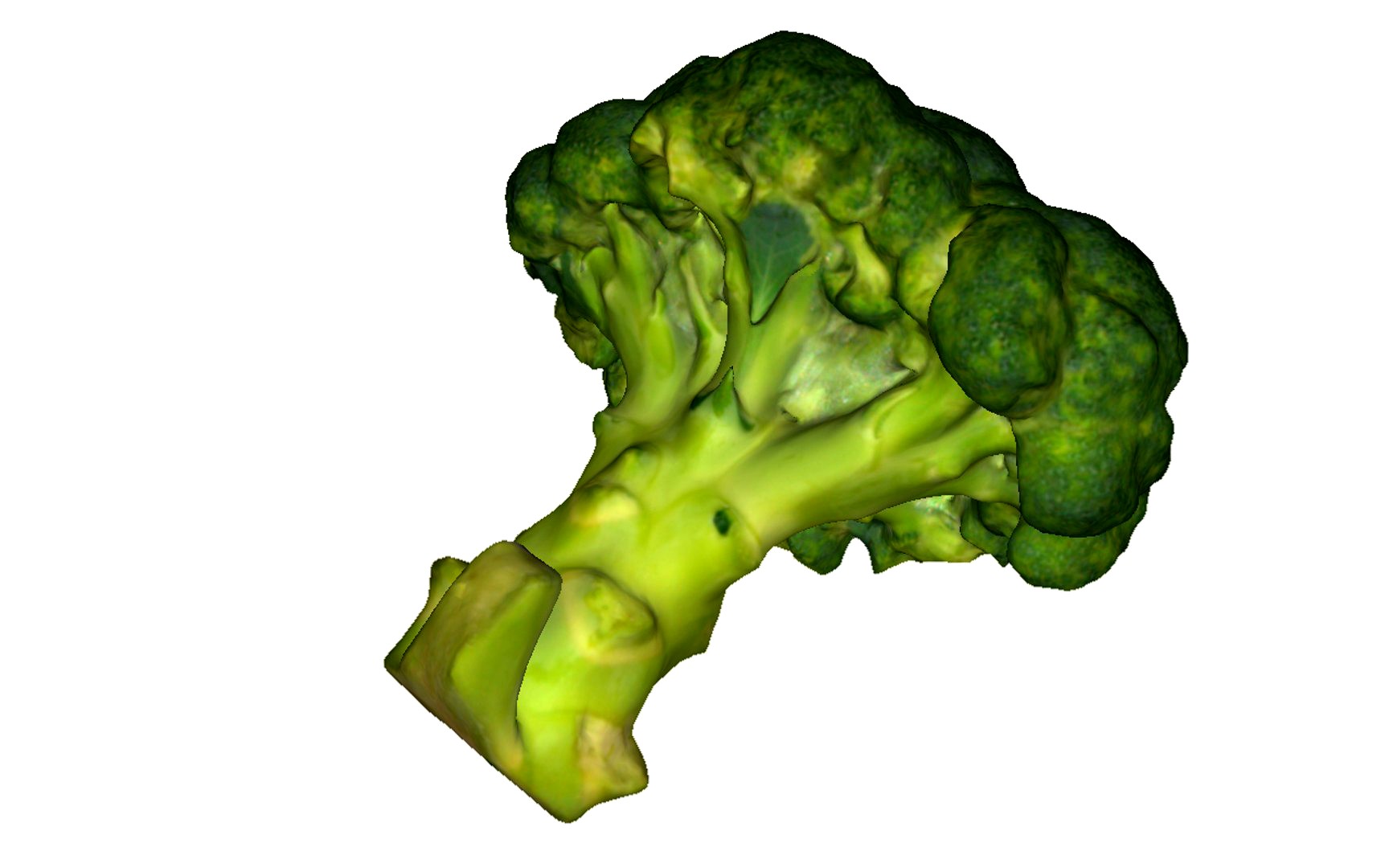 Broccoli