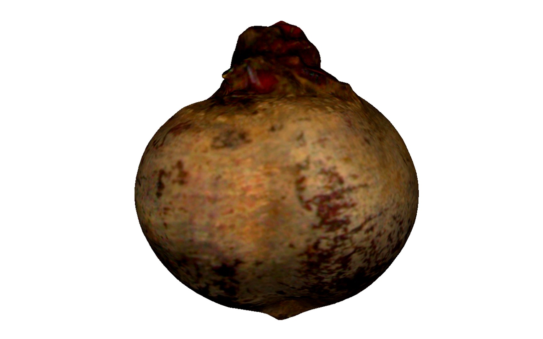 Beet
