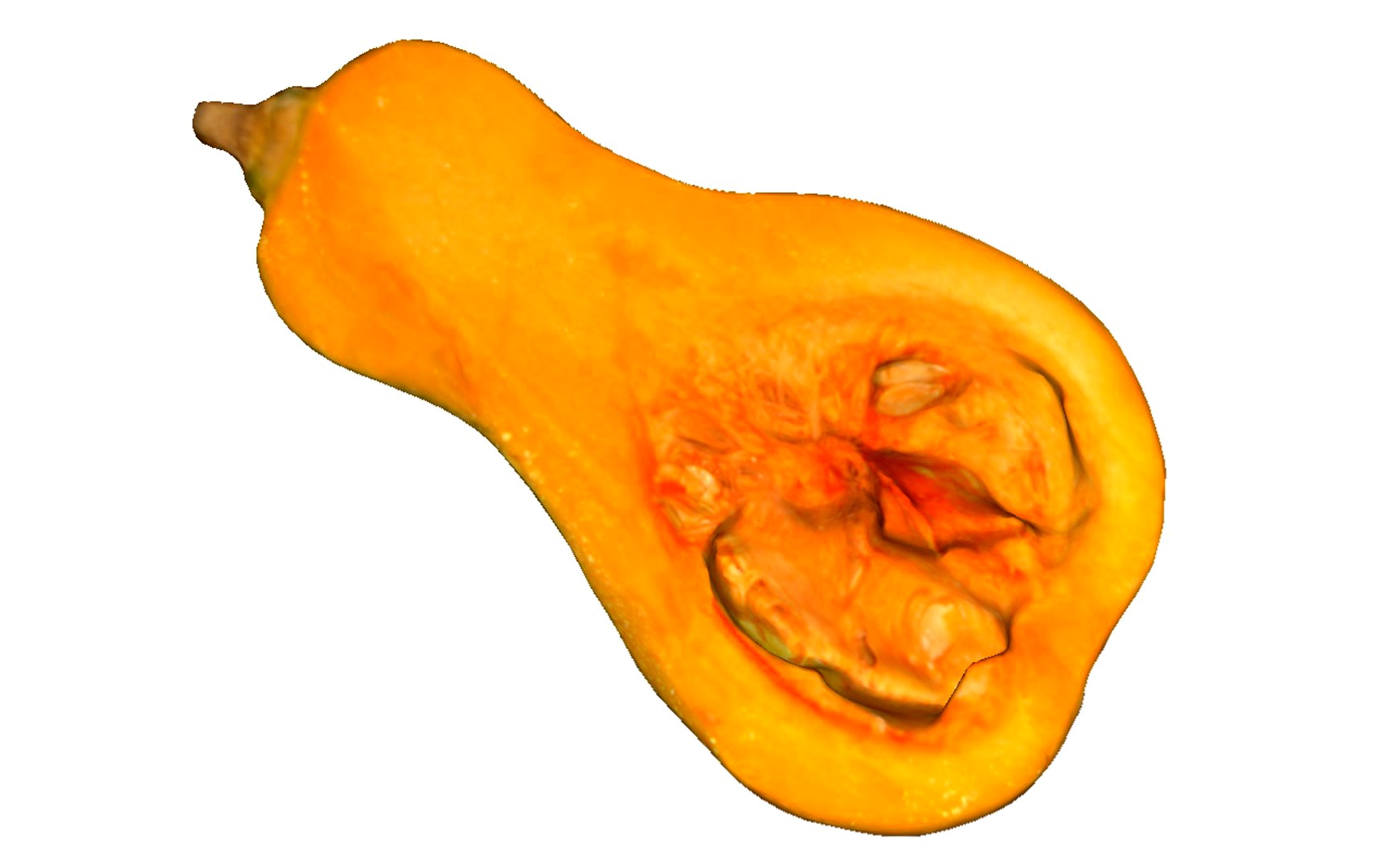 Half Gourd