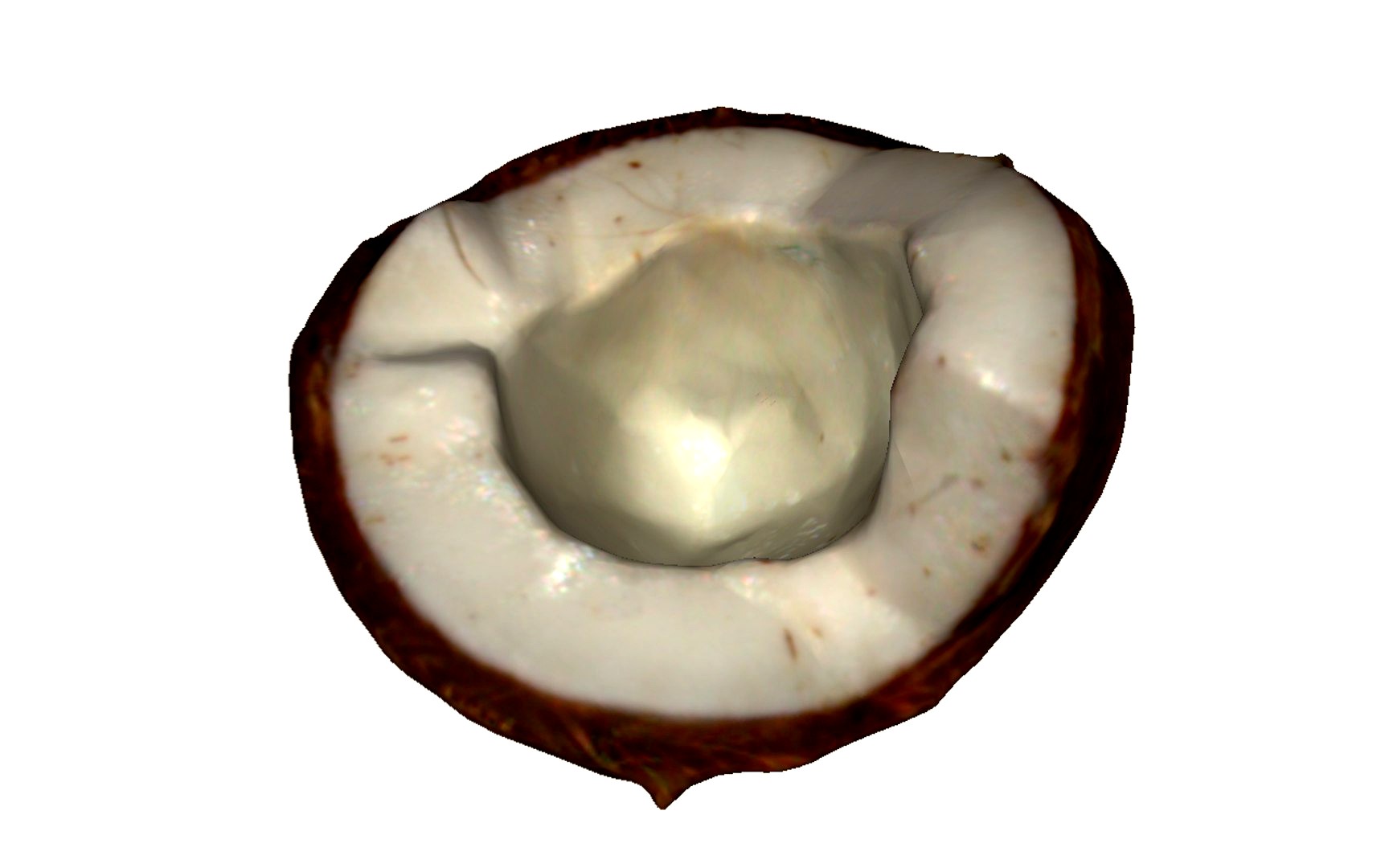 Half Coconut
