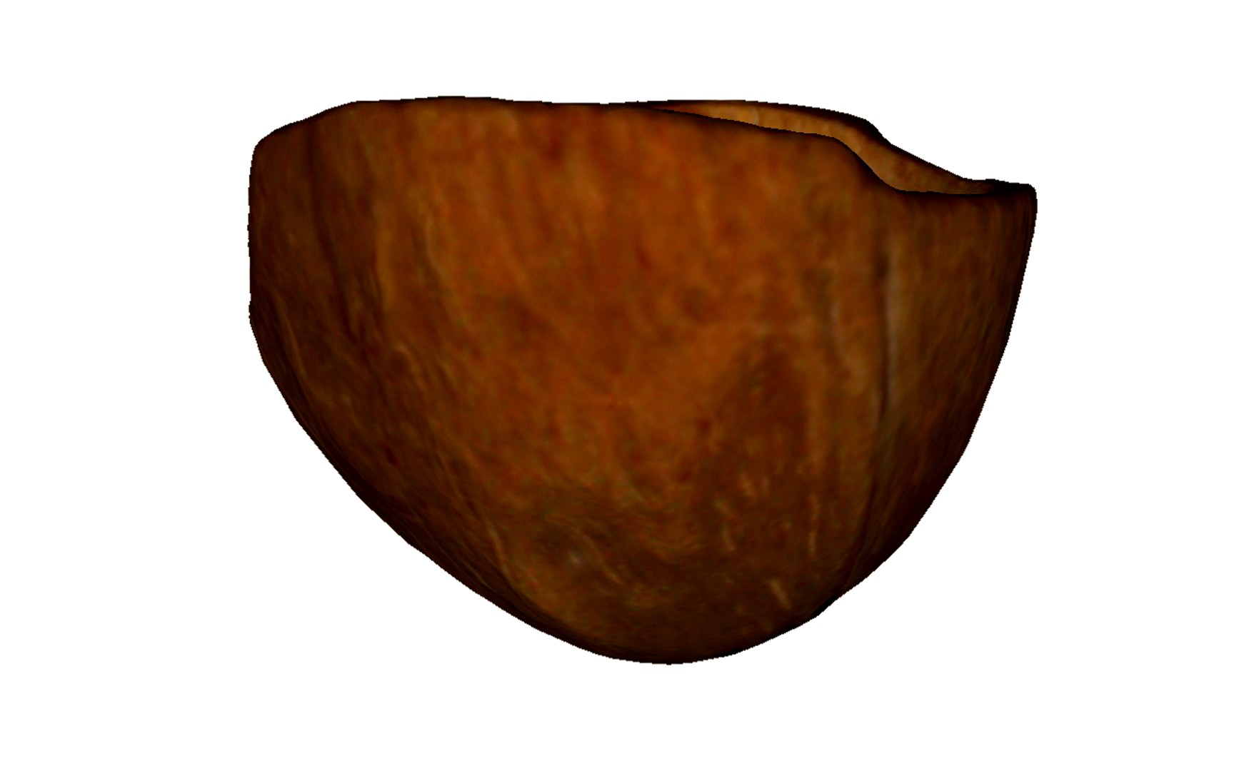 Coconut Shell