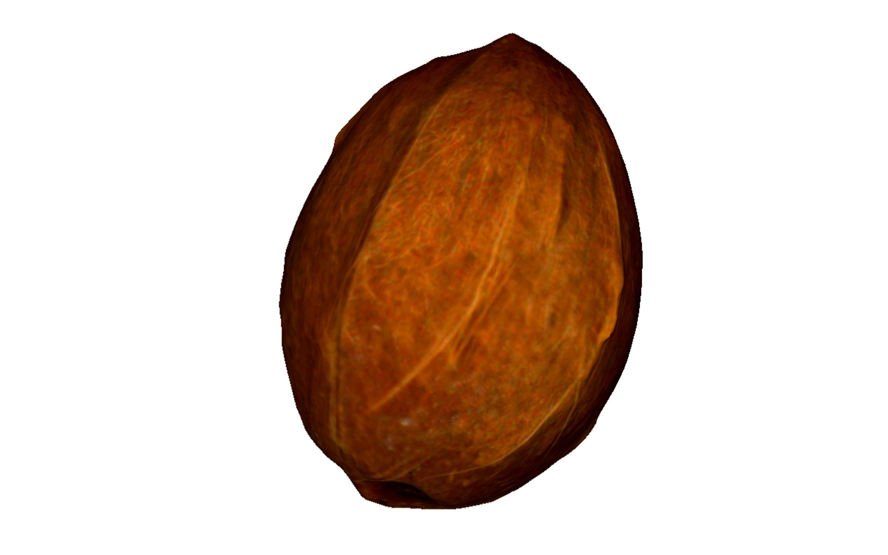 Coconut