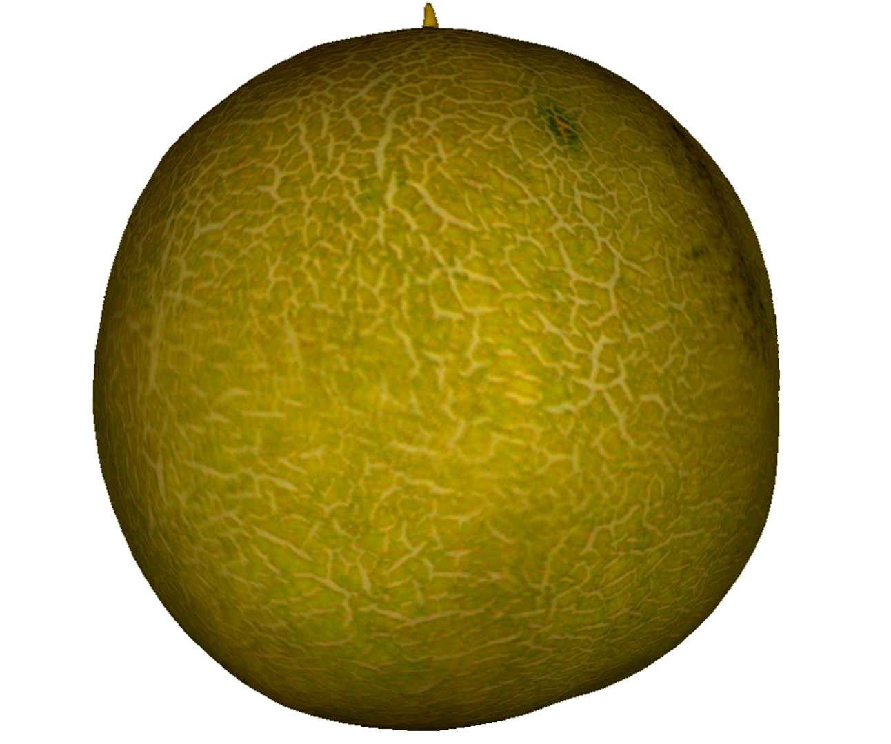 Melon