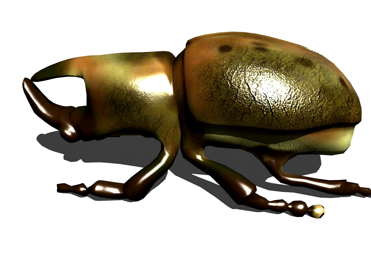 RHINO BEETLE