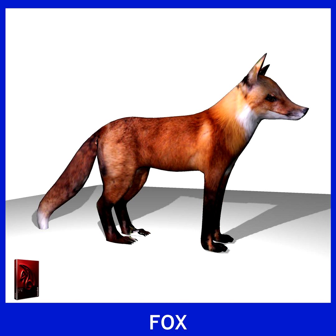 fox