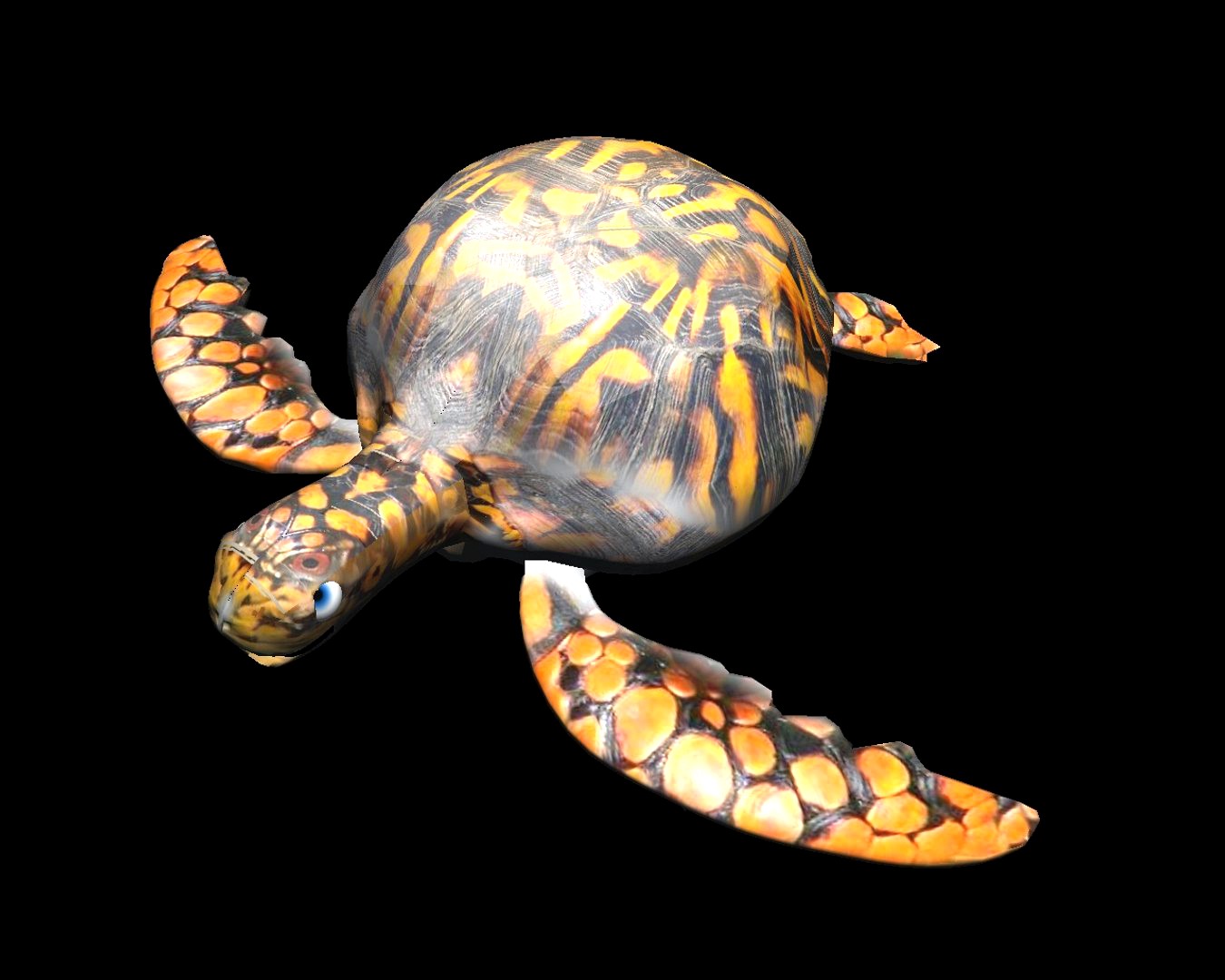 turtle