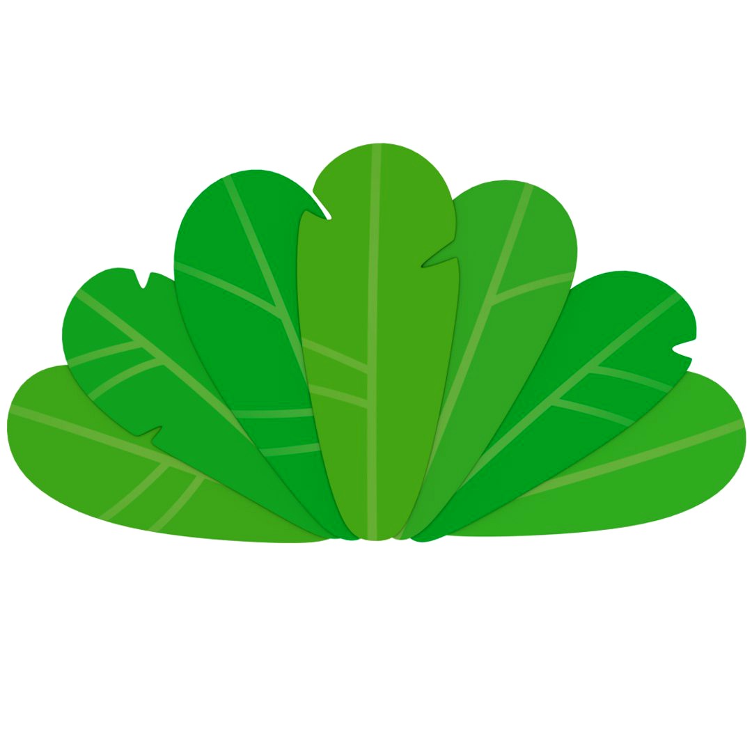 Tropical leafs
