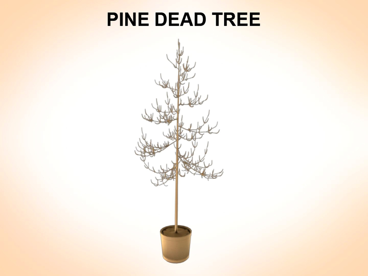 Dead Pines