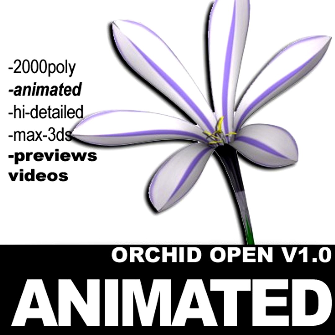Orchid Open