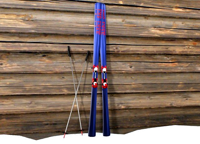 Skis and Pole 3D Model