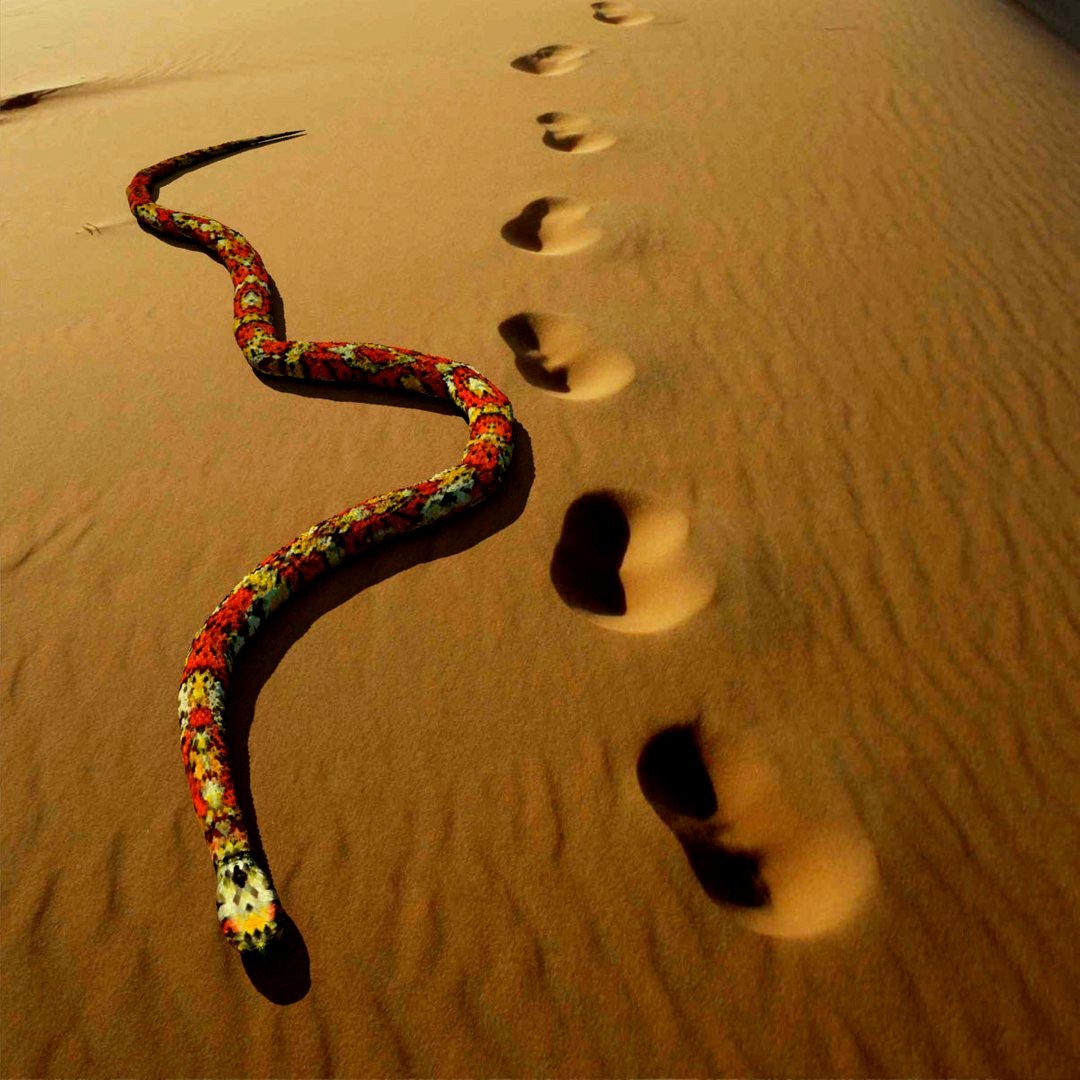 snake