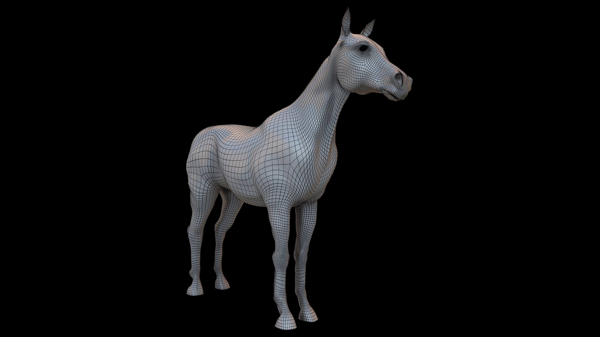 Horse BaseMesh