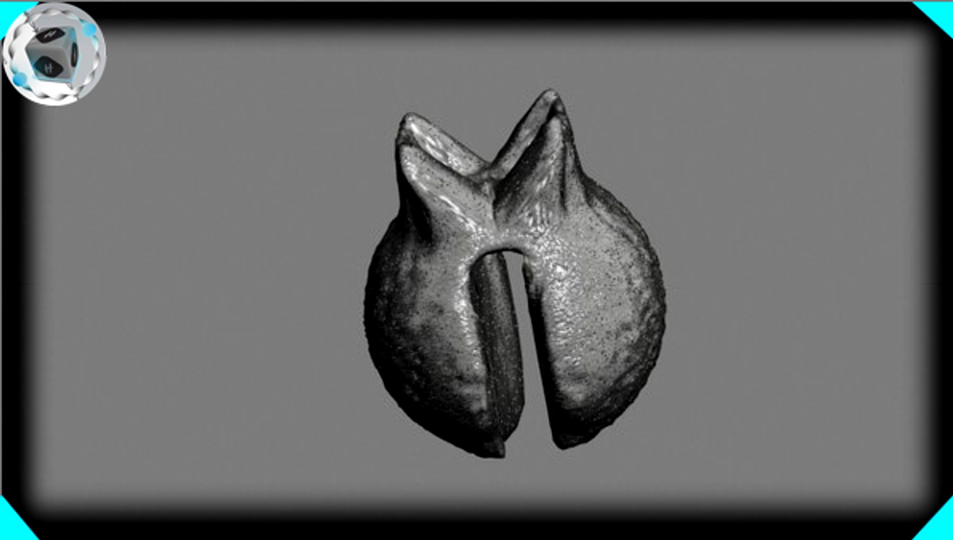 fishing split shot sinker (fishing)