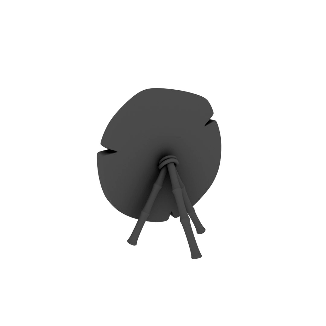 Stone practice target