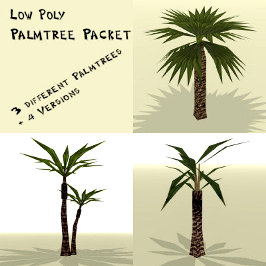 Palmtree Package