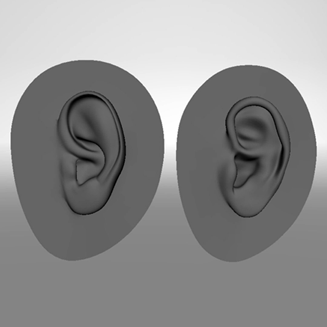 Ears