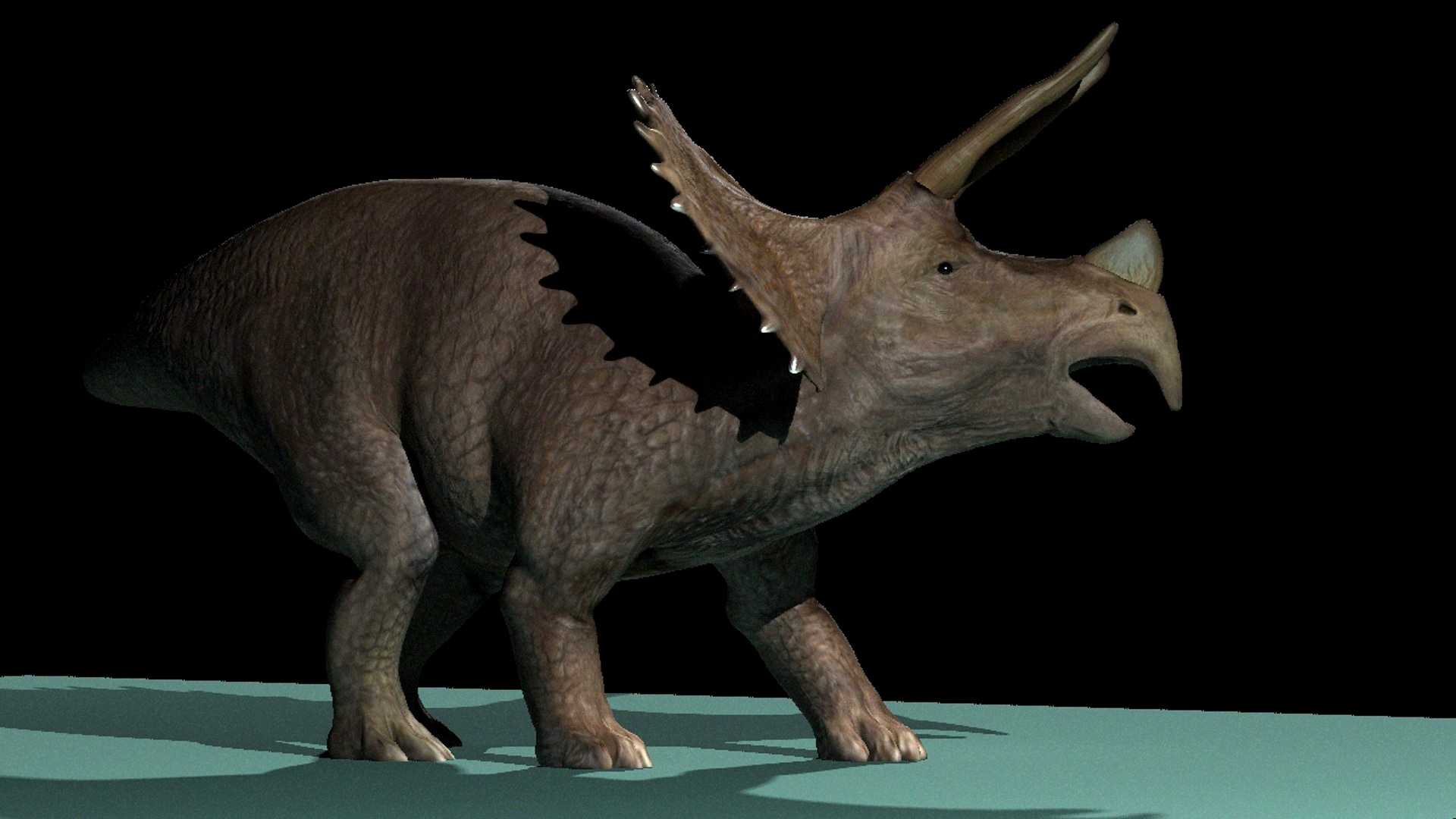 triceratops dinosaur