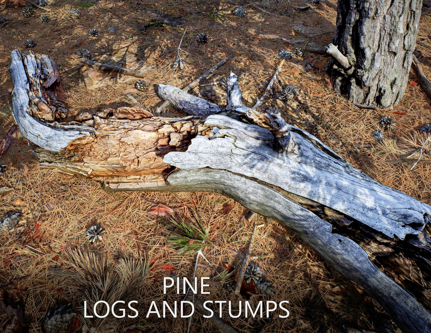 Conifer Pine Logs and Stumps Set