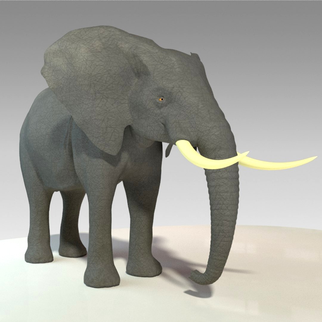 Elephant