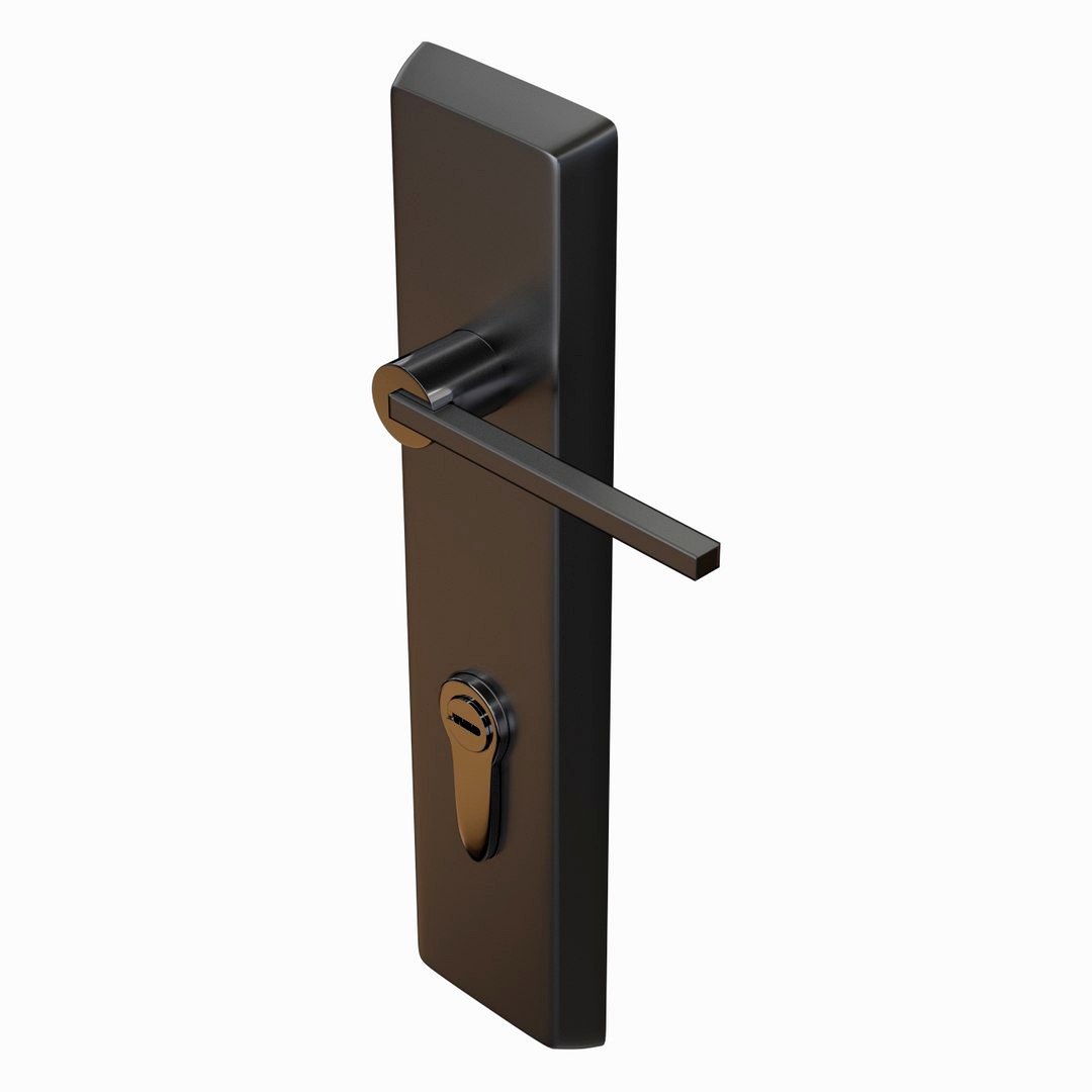 Door Lock(2)