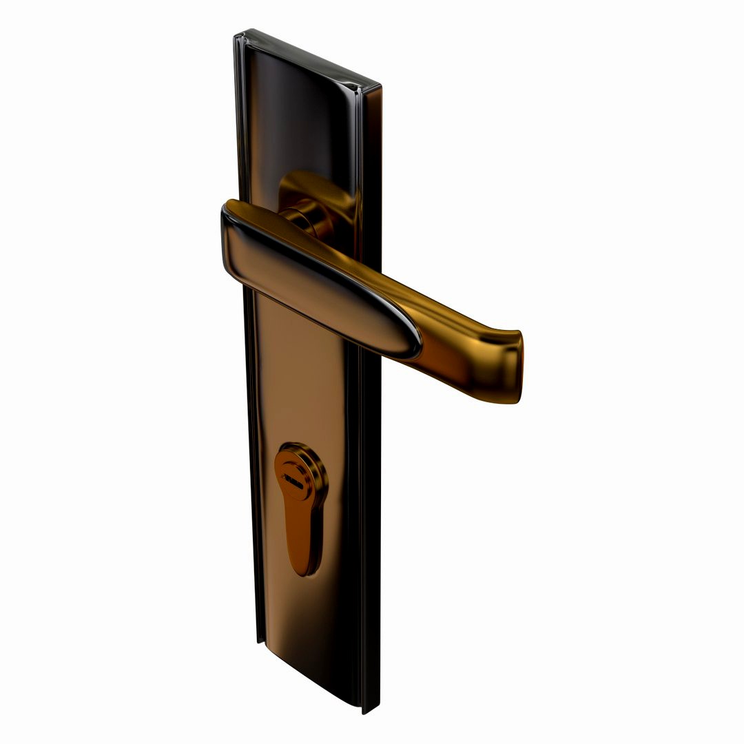 Door Lock(3)