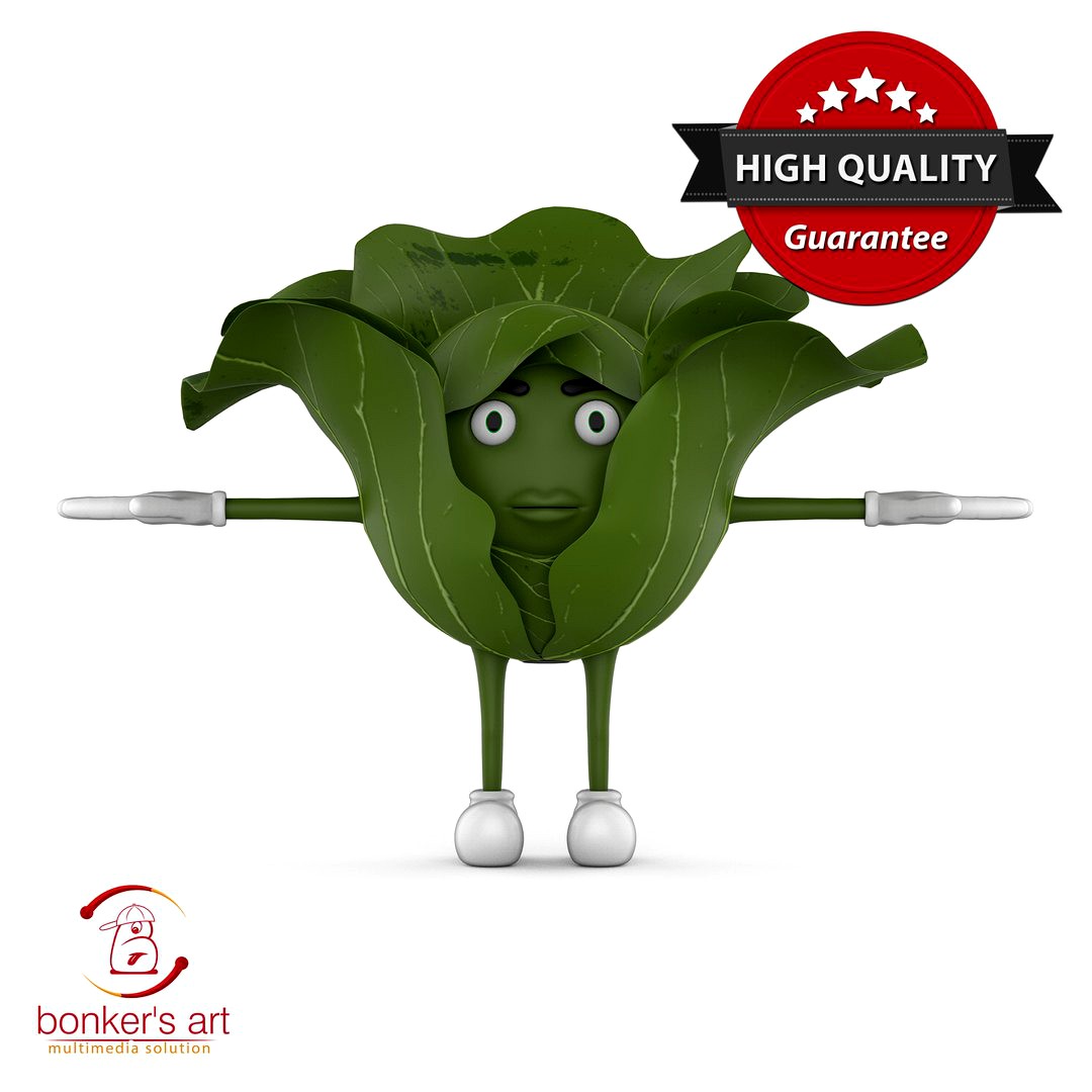 Cabbage Character