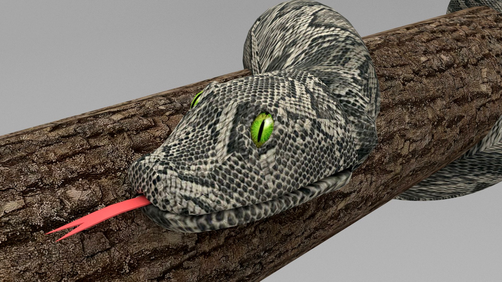 Snake