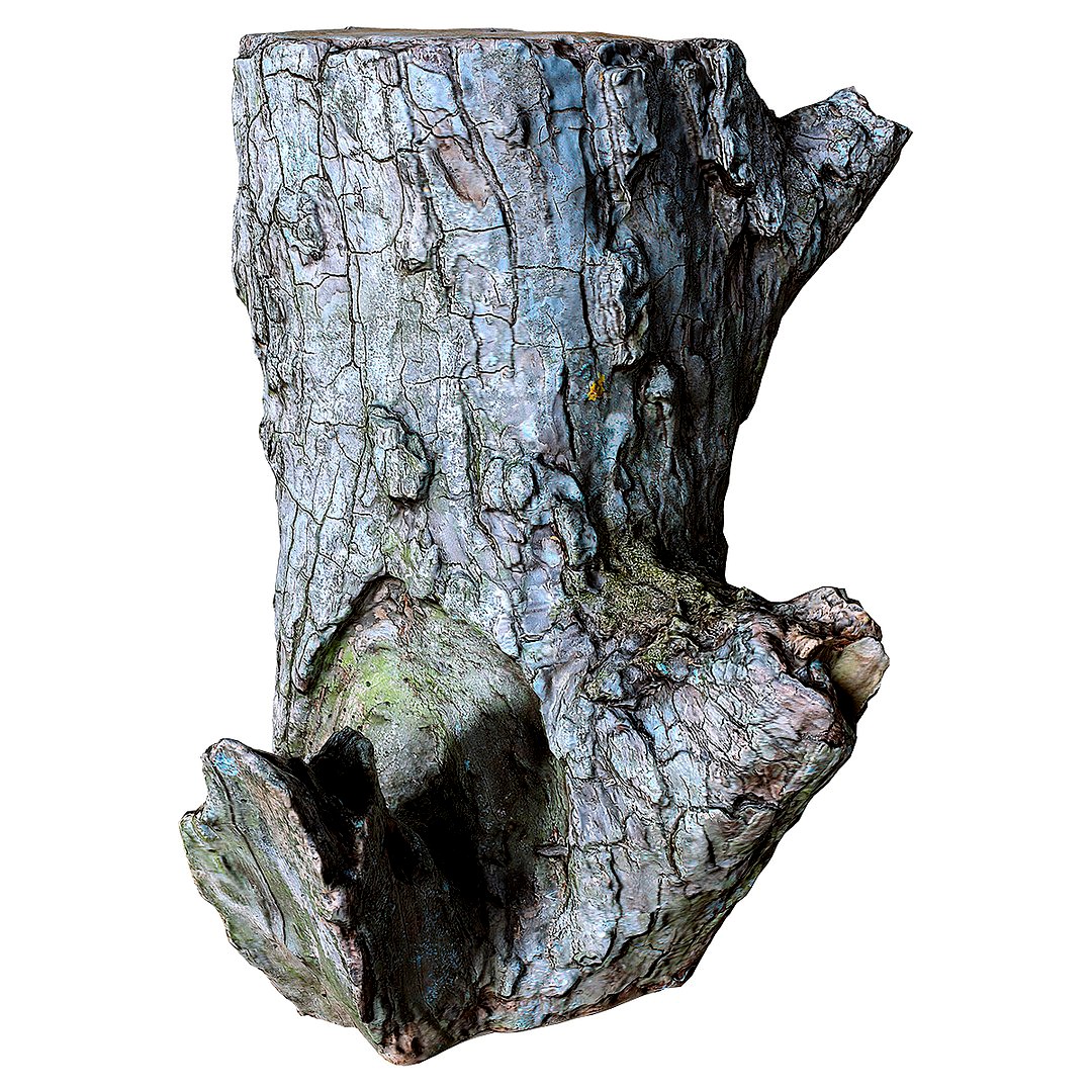 Scanned Stump 08