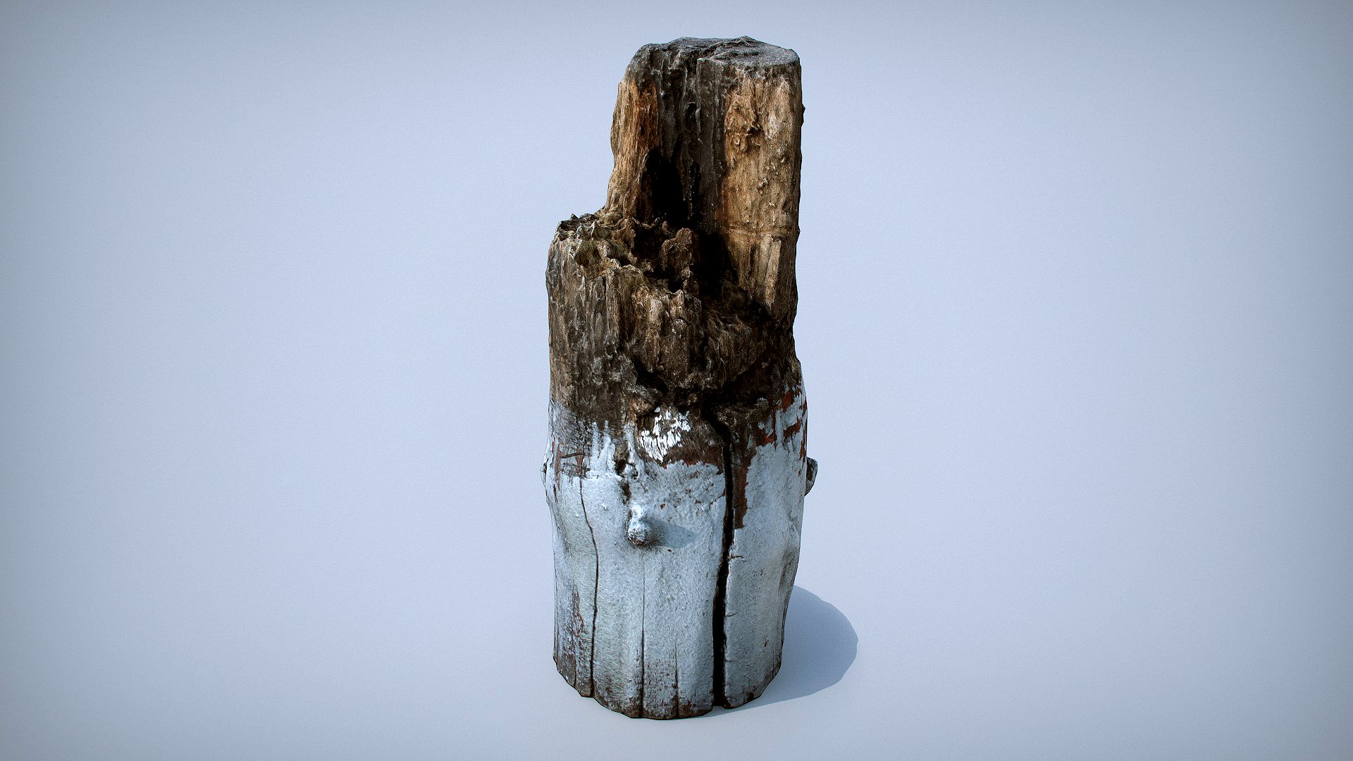 Scanned Stump 03