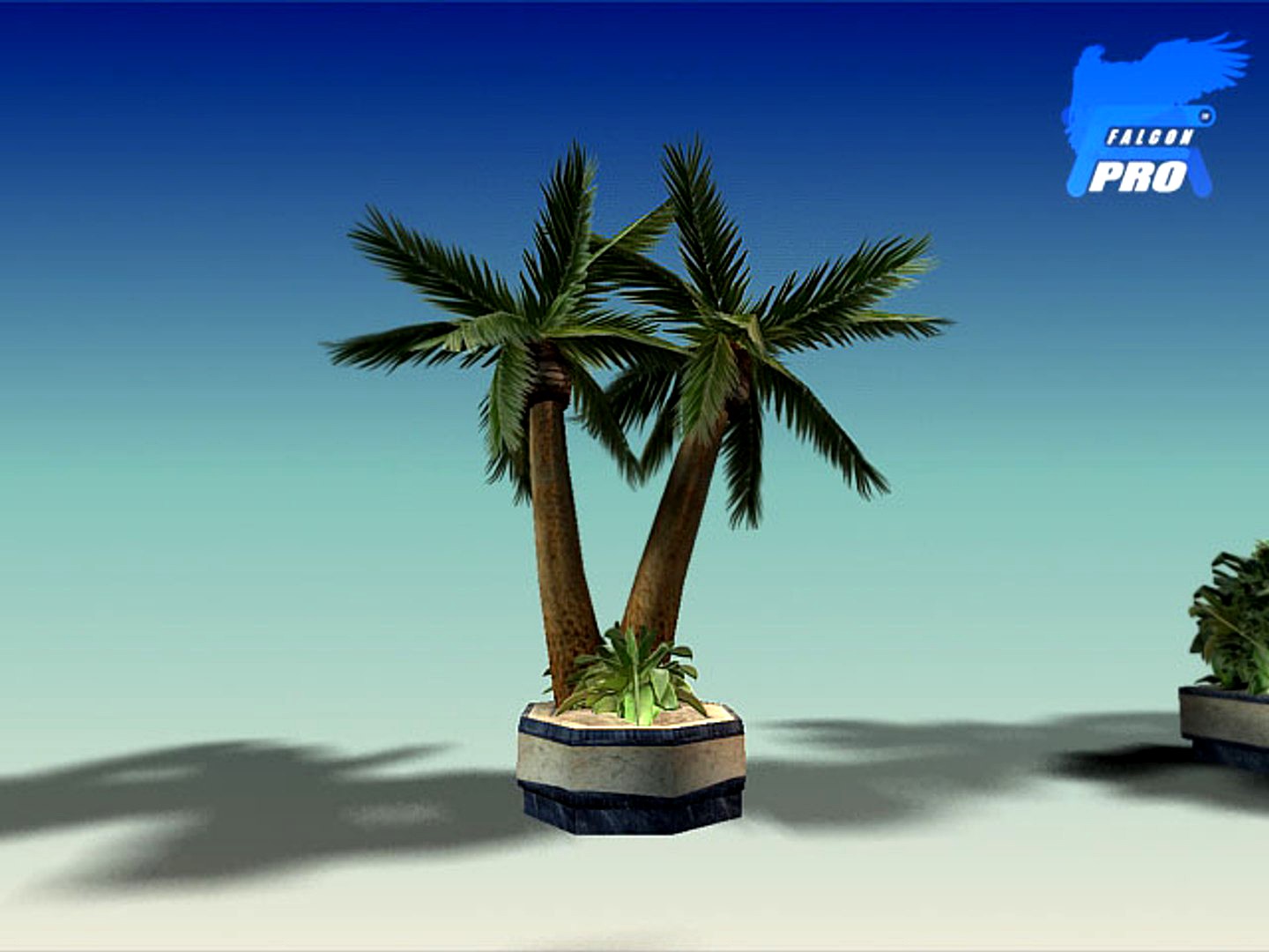 Palm Tree Set