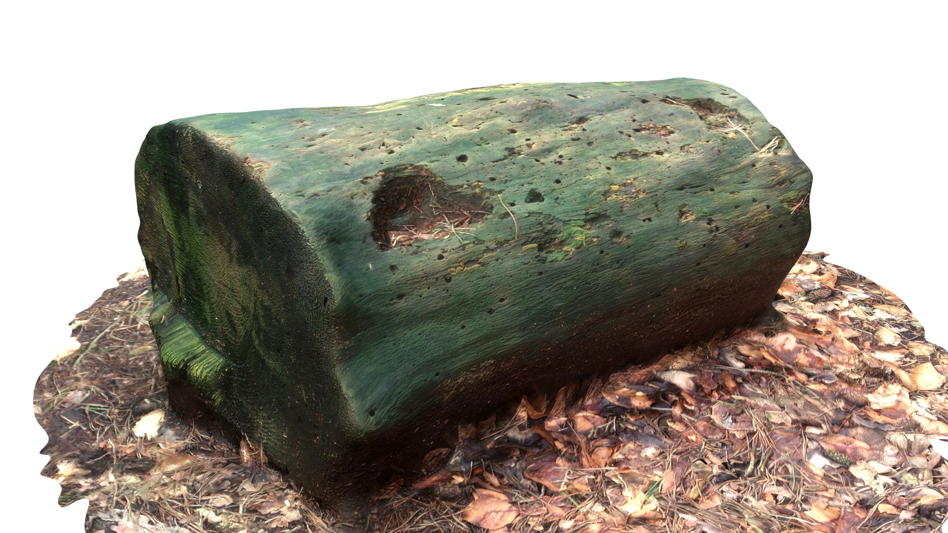 sawn of tree part