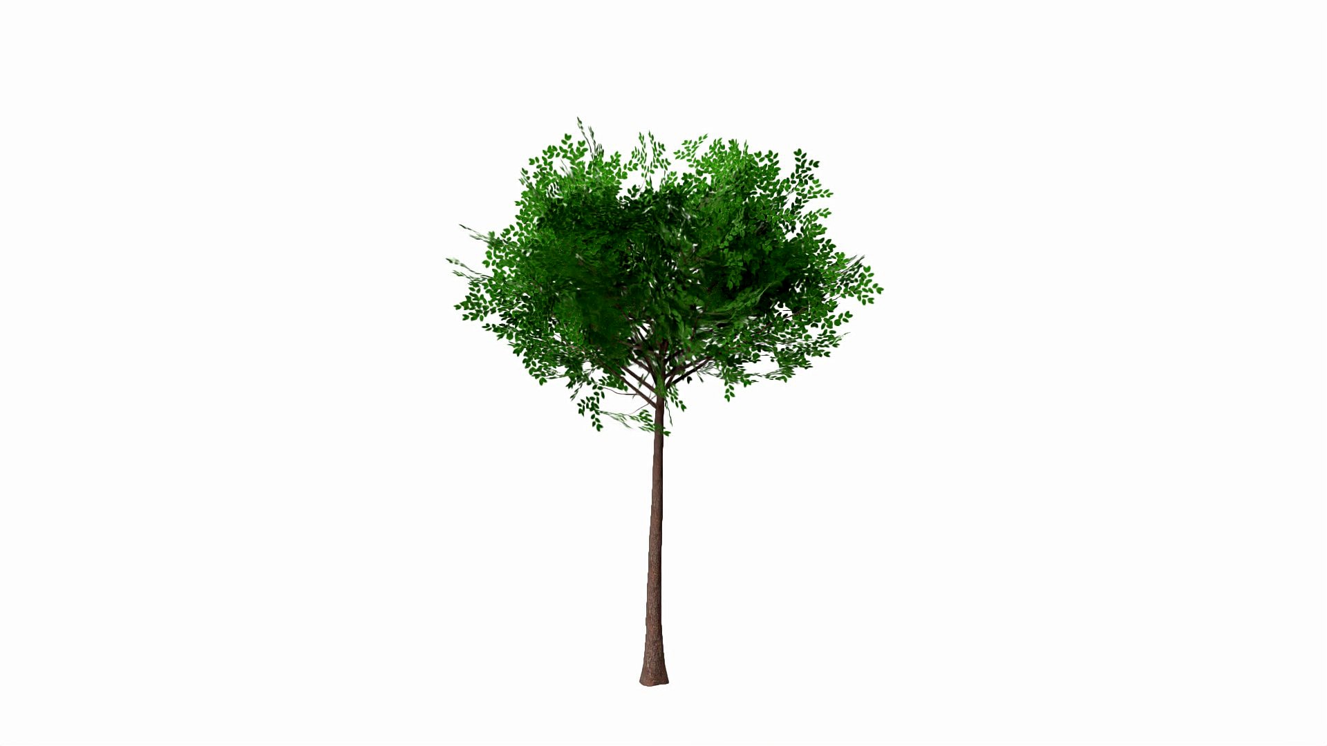 robinia summer low poly