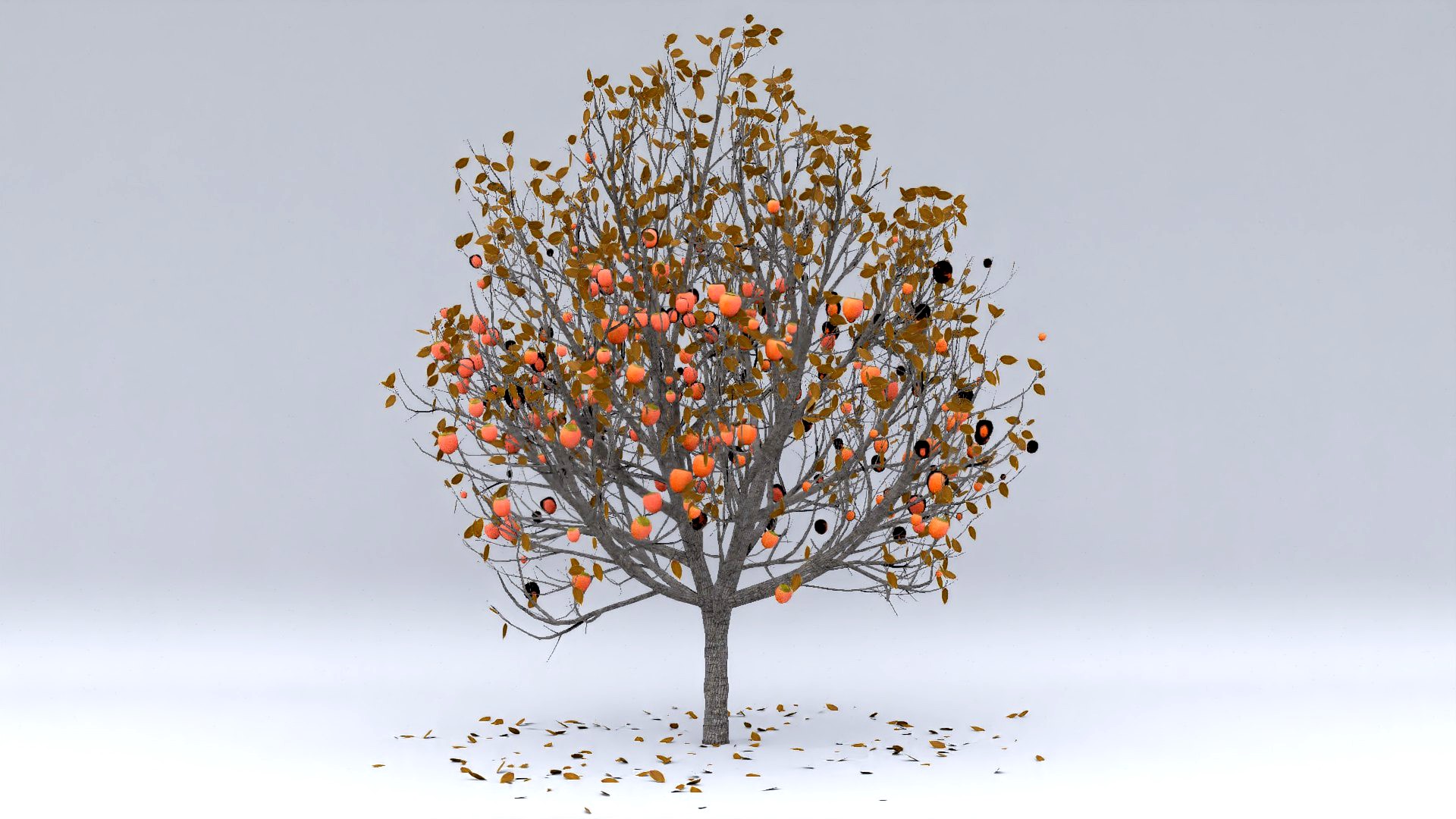 diospyros autumn hight poly