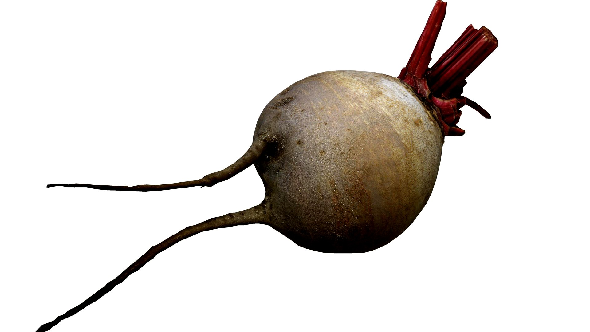 red beet