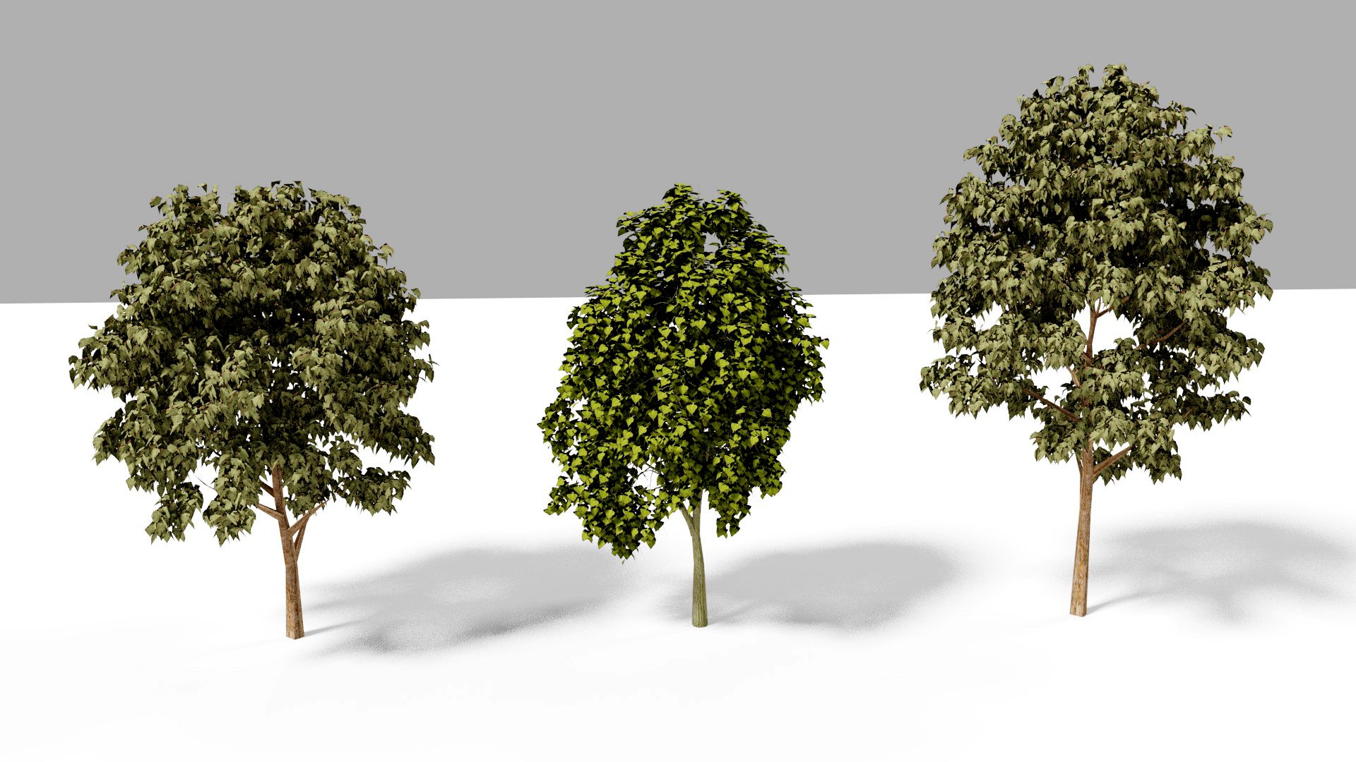 Realistic trees