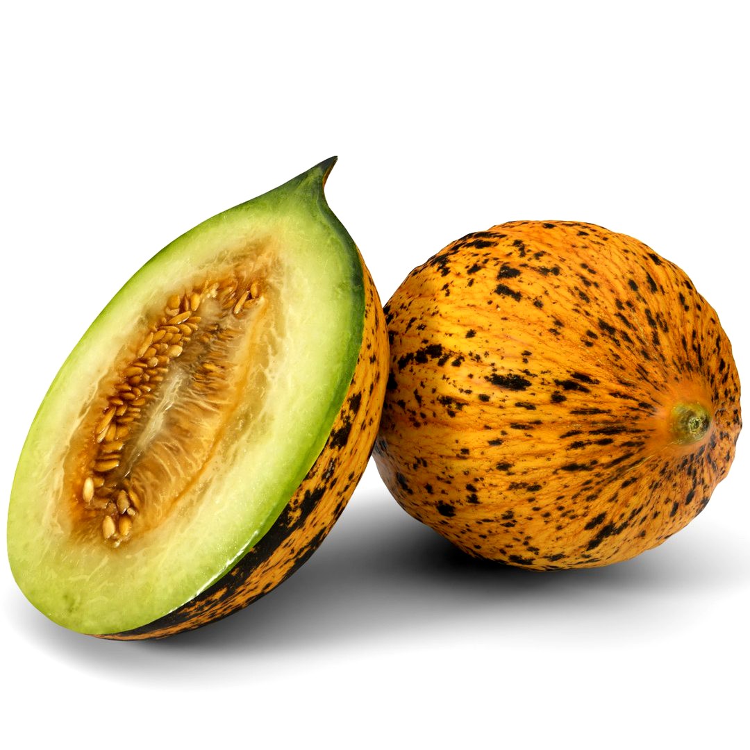 realistic melon model 2