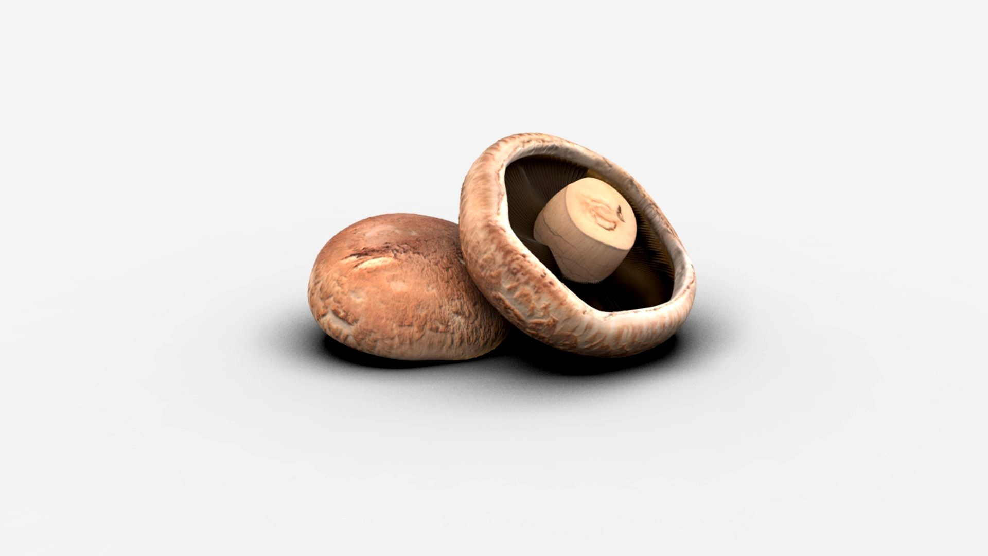 Realistic Mushroom