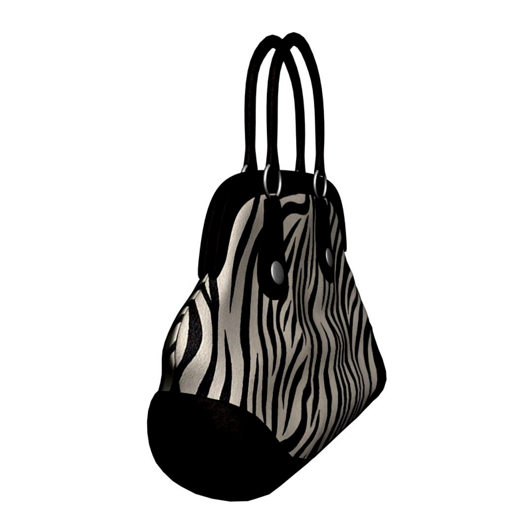 Zebra Striped Bag
