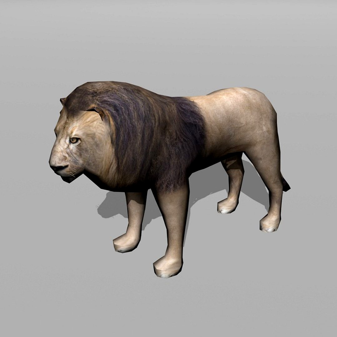 lion
