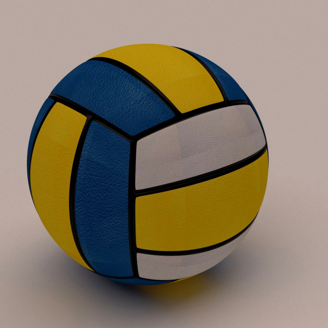 Volley Ball