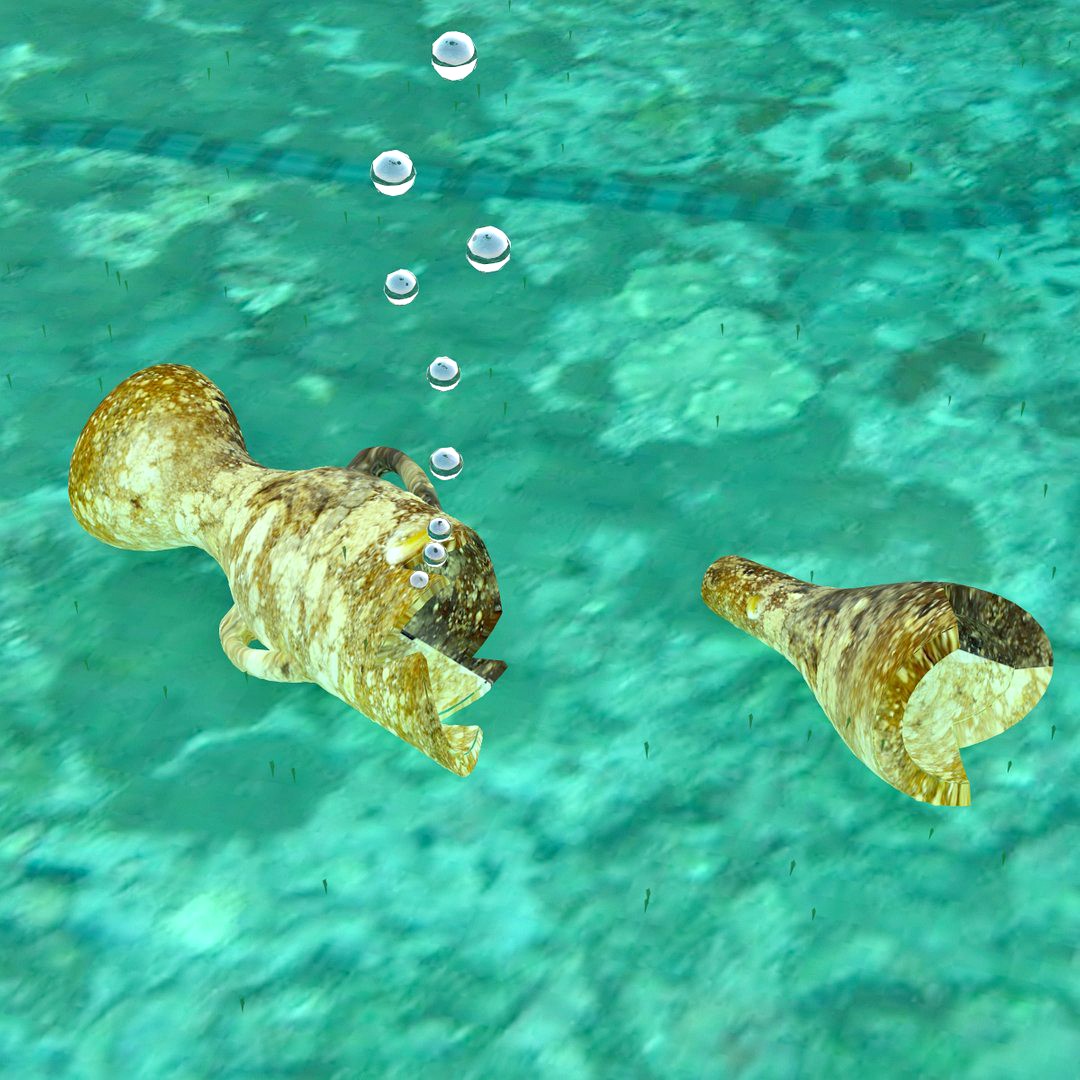 AMPHORA