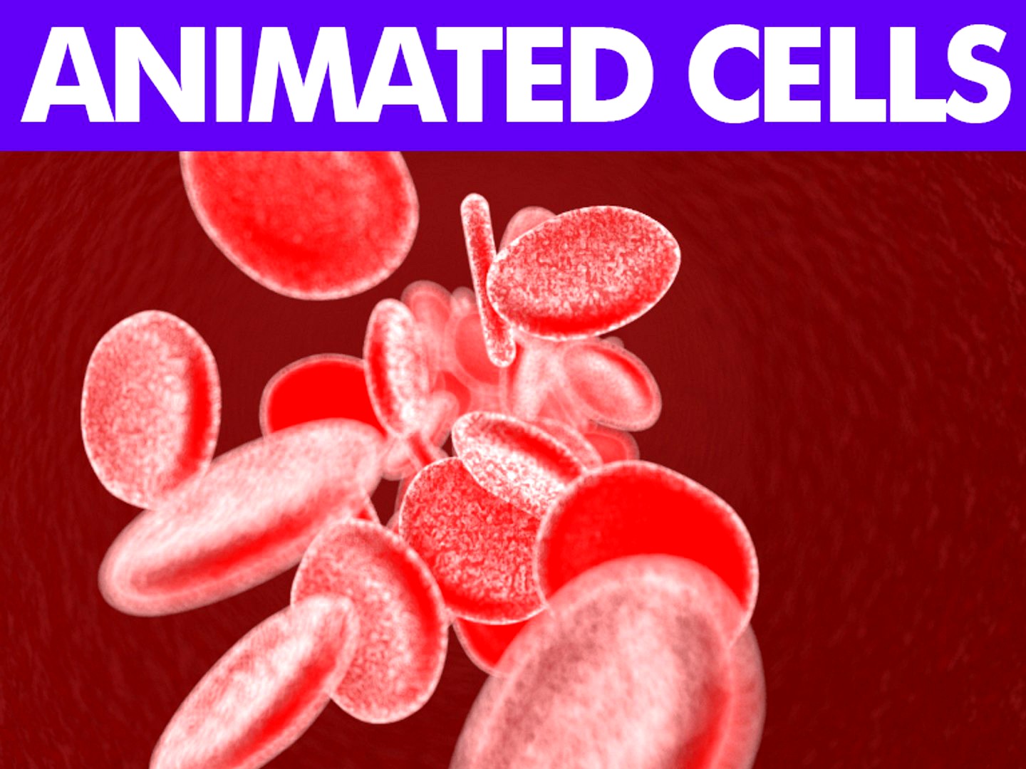 CELLS ANIMATED