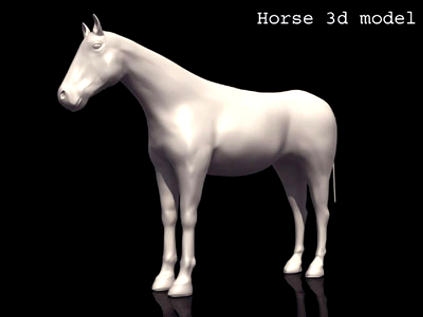 Horse