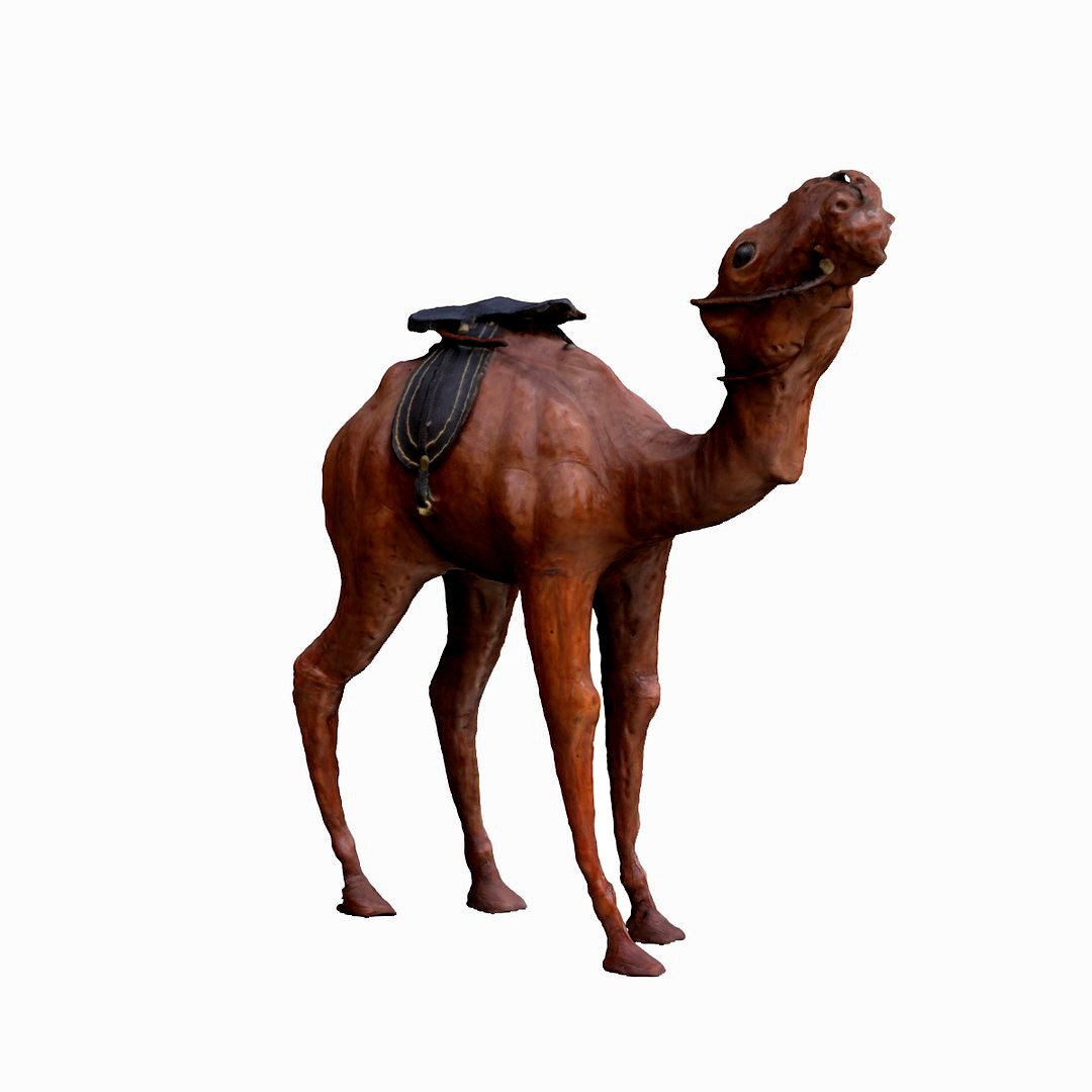 Camel 3d Scanning