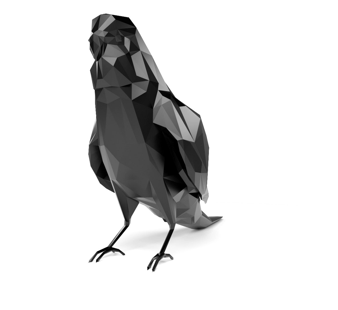Parakeet LowPoly